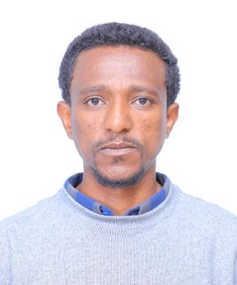 Endalew Birara