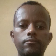 Desalegn Shibru