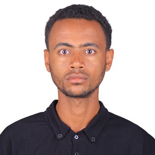 Nimona Bayisa